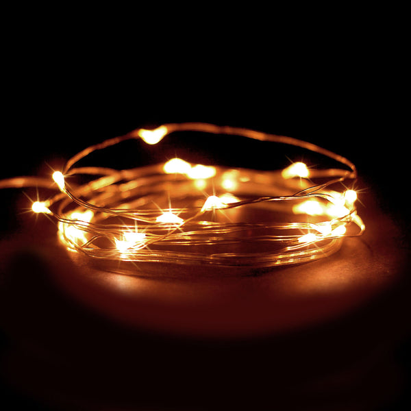 RTGS 30 Warm White Color LED String Lights Batteries Operated on 9.5 Feet Silver Color Wire with Timer