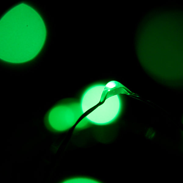 RTGS 60 Green Color LED String Lights Batteries Operated on 20 Feet Long Silver Color Wire with Black Waterproof Batteries Box and Timer