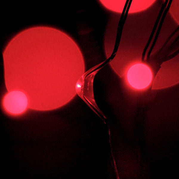 RTGS 30 Red Color LED String Lights Batteries Operated on 9.5 Feet Silver Color Wire with Timer