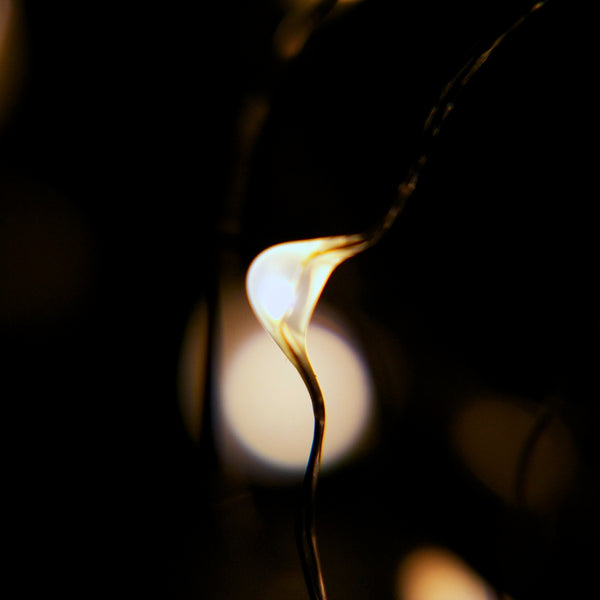 RTGS 100 Warm White Color LED String Lights Plug In on 32 Feet Silver Color Wire for Indoor and Outdoor Use